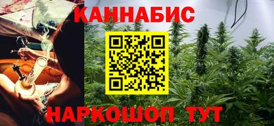 шишки Ставрополь