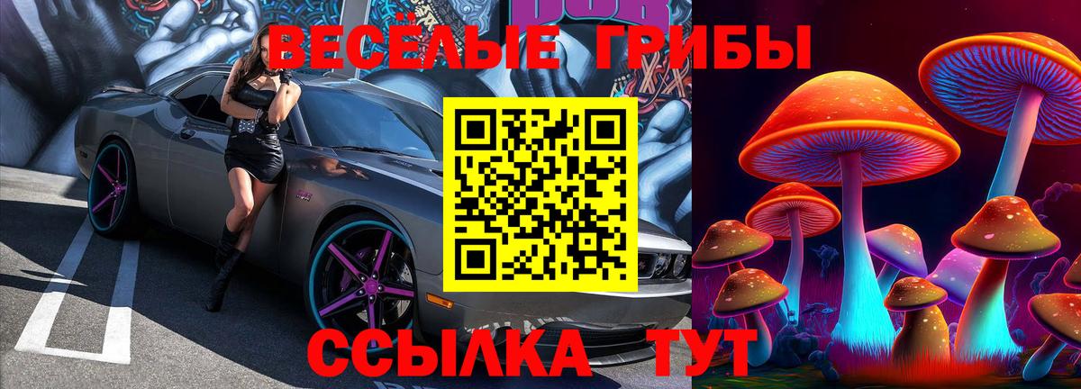 Галлюциногенные грибы Magic Shrooms  Вход с VPN  Новозыбков 